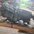 💲★2006-2010 DODGE CHARGER - AUTOMATIC TRANSMISSION - #M19036★💲 5 thumbnail