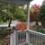 Farmhouse chic! Completely remodeled 3 or 4 bd 2 full bathrooms. A/C m 8 thumbnail
