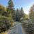 Lake Whatcom lakefront tiny home Parking Spot 1 thumbnail