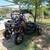 Buggy 2 thumbnail