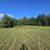 Stunning 31.4-acre parcel 10 thumbnail