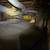 EXANDER'S Attic Rodent control 10 thumbnail