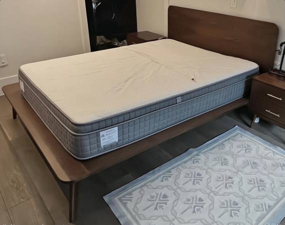 Minimalist queen platform bed 1