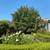 Weekly, flexible starting late Sept: Beachwood Canyon 1 BR Sublet 13 thumbnail