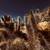 10 REASONS - IT’S TIME FOR A NEW GARDENER – JOSHUA TREE & HIGH DESERT 1 thumbnail