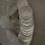 Silver Coins 1 thumbnail