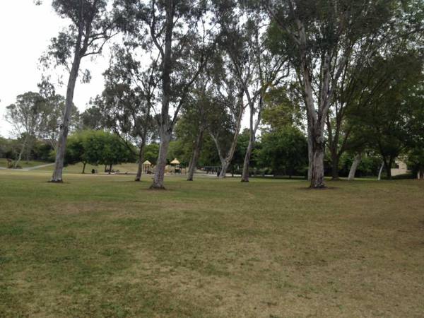 $950 Wonderful rooms (walk to UCSD) (La Jolla, walk to UCSD)63701605659779122