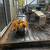Landscape & maintenance 14 thumbnail