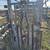 Cattle chute 5 thumbnail