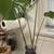 Vases, plants, teapot vintage teapots, etc 14 thumbnail