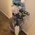LADIES 15pc PETITE GOLF CLUB SET MIZUNO SORA +RBZ 5'3 GRAPH 17 thumbnail
