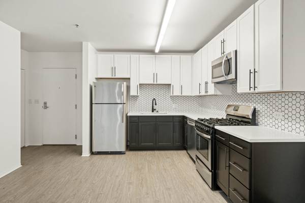 $2,300 / 1br - Perfectly Stated-One Bedroom, W/D, Gym, Outdoor Lounge-South Loop (South Loop)63959874554114120