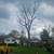 TREE SERVICES & LAWN CARE 5 thumbnail