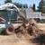 TREE REMOVAL AND STUMP GRINDING! 9158879172 22 thumbnail