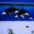 AIRBRUSHED MURALS 6 thumbnail