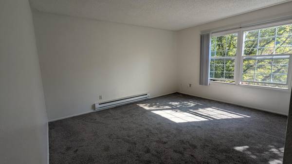 $1,250 / 2br - 640ft2 - No Deposit for all September! (Portland)63831536832129124