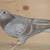 Opal Racing Pigeons for Sale 4 thumbnail