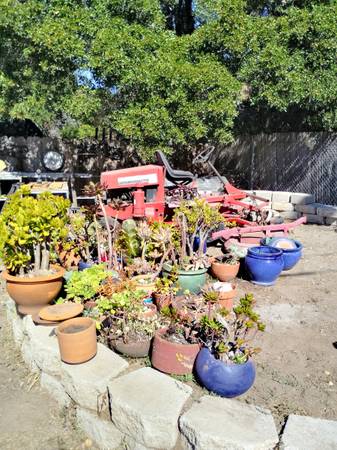 Yard sale photo