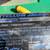 Yellow Jacket 6CFM Vacuum Pump 1 thumbnail