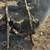 67-72 chevy gmc c10 front suspension disc brakes frame swap 1 thumbnail