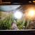 Used HP EliteDisply S14 14"FHD Portable USB-C Disply W USB-C Cable 1 thumbnail