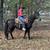 Black Fox Trotter Broke to Ride and Gentle - Karmen 1 thumbnail