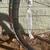 2021 Fuji SL-A Disc 1.3 Road Bike – Excellent Condition – $1,250 (Los 6 thumbnail