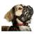 Dog Basket Muzzle 2 thumbnail