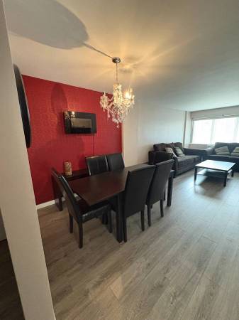 Gorgeous fully furnished one bedroom condo for rent in Winnipeg 4
