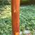 Rustic Adirondack Style Hand-Hewn Wooden Coat Rack 6 thumbnail