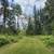 4+ Acres on Little Turtle River 2 thumbnail