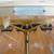 1920s SEEDERER-KOHLBUSCH BENCH MODEL BEAM BALANCE SCALE - New Jersey 17 thumbnail