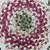 Braided Chair Pads Table Runner Homespice Decor 8 thumbnail