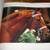 Secretariat Book signed LTD ED racing horse 3 thumbnail