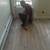 HARD*WOOD*FLOORS*REFINISH*REPAIRS*STEPS BROKERS*SANDING STAIN FLOORS 5 thumbnail