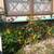 $420 Shared room for rent, Between UCSD and Mesa College 11 thumbnail