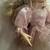 Porcelain ballerina doll with a stand 7 thumbnail