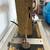 Antique Singer Sewing Machine from the 1930s 2 thumbnail