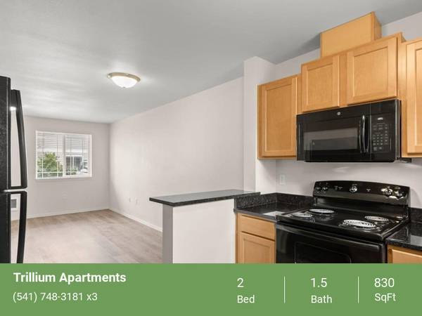 Pet Friendly, High Ceilings, Efficient Appliances 1