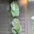 Frogs 2 thumbnail
