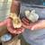 Barnyard Mix Chicks 3 thumbnail