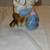 Vintage Girl Sitting With Dog Figurine Figure 1 thumbnail