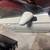 2019 Subaru Outback Legacy Doors parts 10 thumbnail