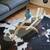 Refinished Vintage Mid Century Modern Sculpural Coffee Table MCM 5 thumbnail