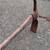 Mattock type antique pick axe 33" long with 14" pick and adze head 3 thumbnail