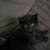 kittens! 4 thumbnail