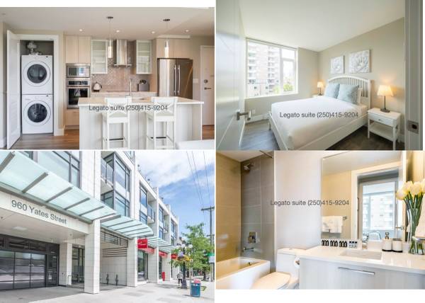 Fully Furnished Downtown Victoria Condo – Parking Included | Gym & Mod 2
