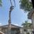 🌴🌲 TREE SERVICE DONE RIGHT 210-480-2836🌴🌲 4 thumbnail