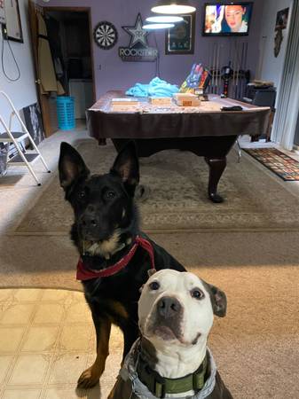 Brunswick Pool table 1