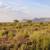 Escape to 2 Acres of Scenic Southwestern Land! 3 thumbnail